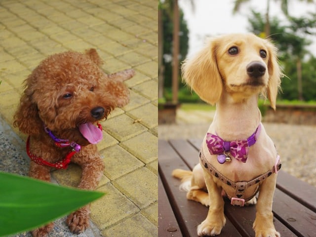 20251023-e7a8g 20251023-e7a8g