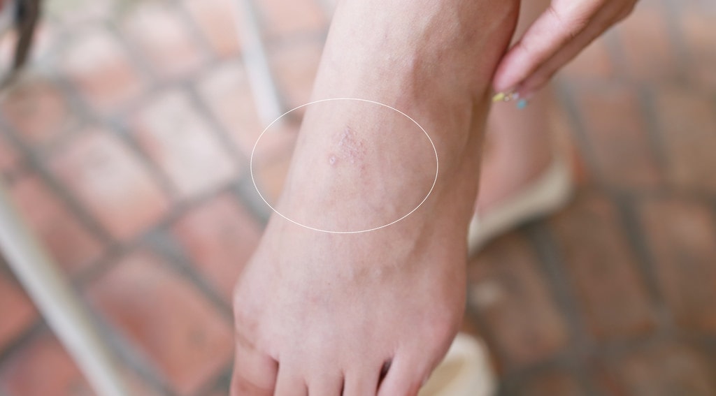 20251023-algff 20251023-algff