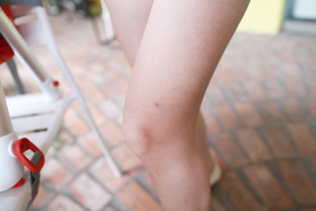 20251023-cca95 20251023-cca95