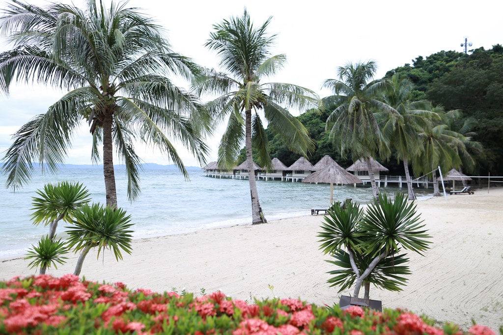 20251023-mrepx 20251023-mrepx