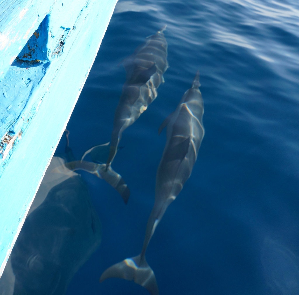 20251023-7ggij 20251023-7ggij