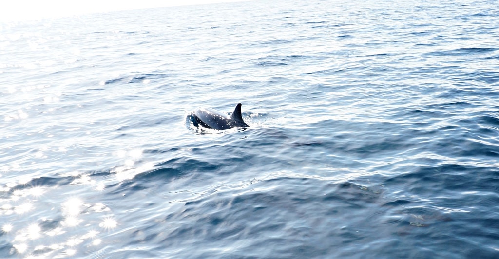 20251023-ailah 20251023-ailah