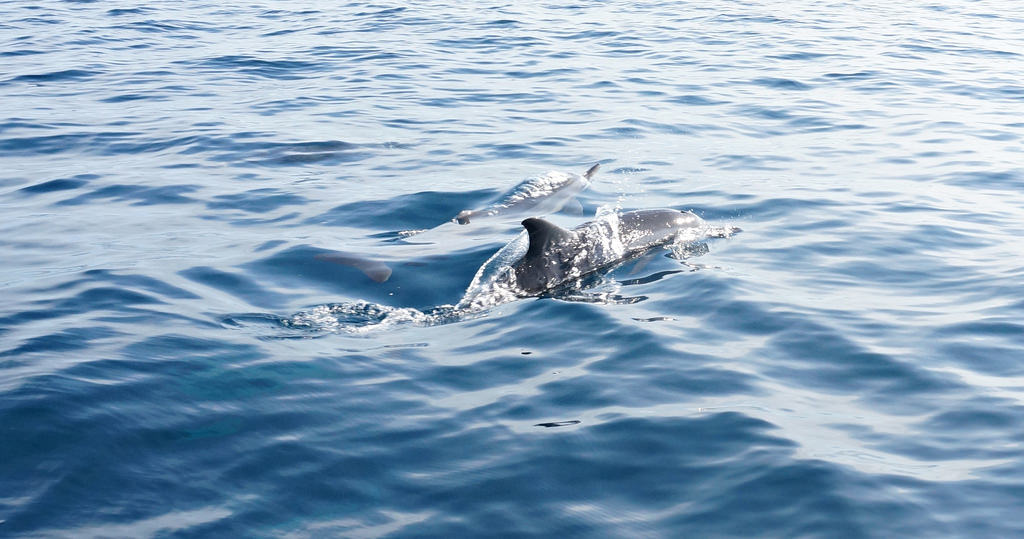 20251023-cm6fs 20251023-cm6fs