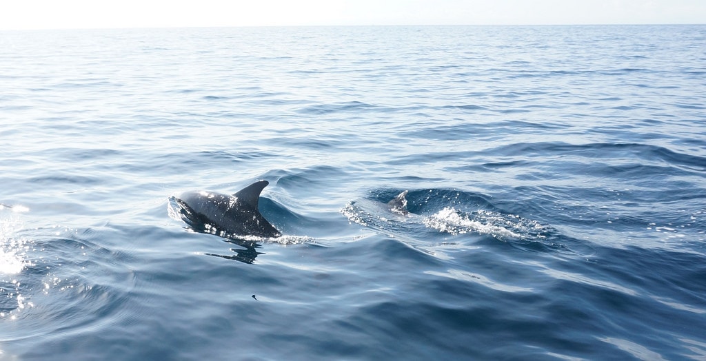 20251023-jbtet 20251023-jbtet