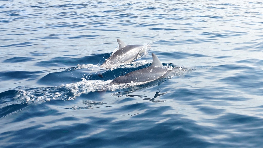 20251023-u4wu1 20251023-u4wu1