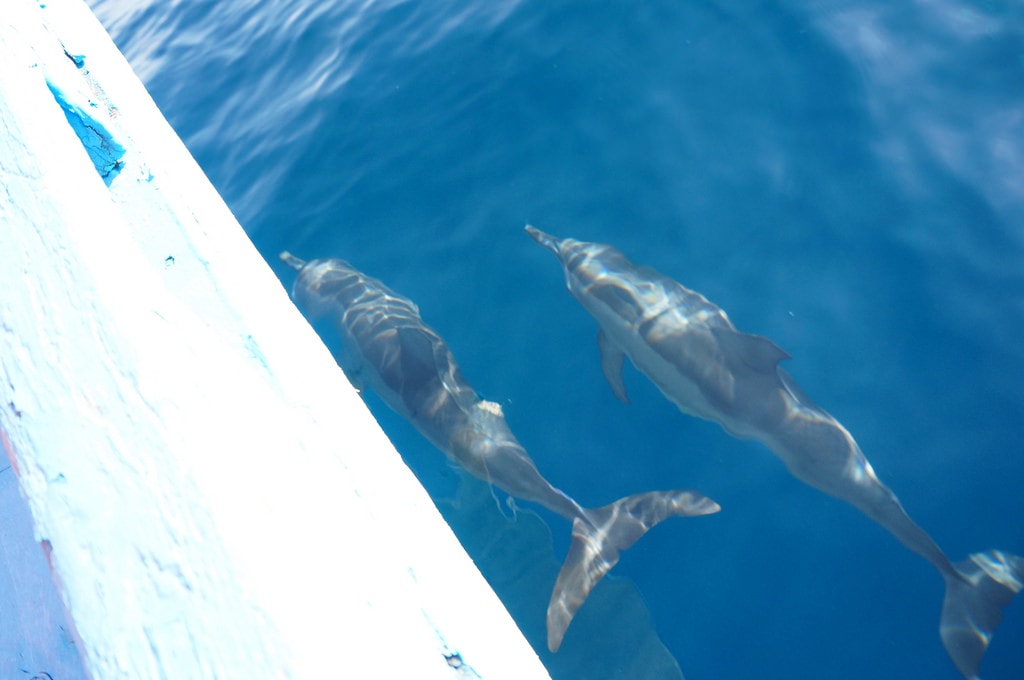 20251023-x01o4 20251023-x01o4